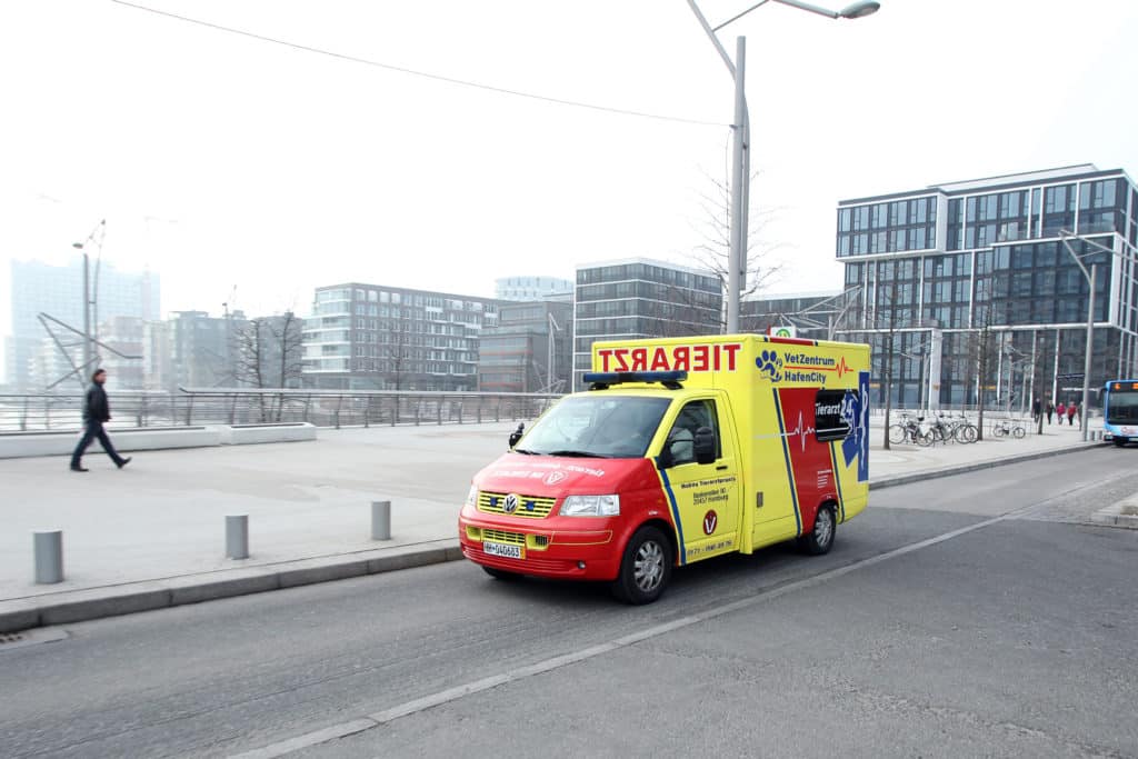 mobiler Tierarzt Hamburg Ambulanz